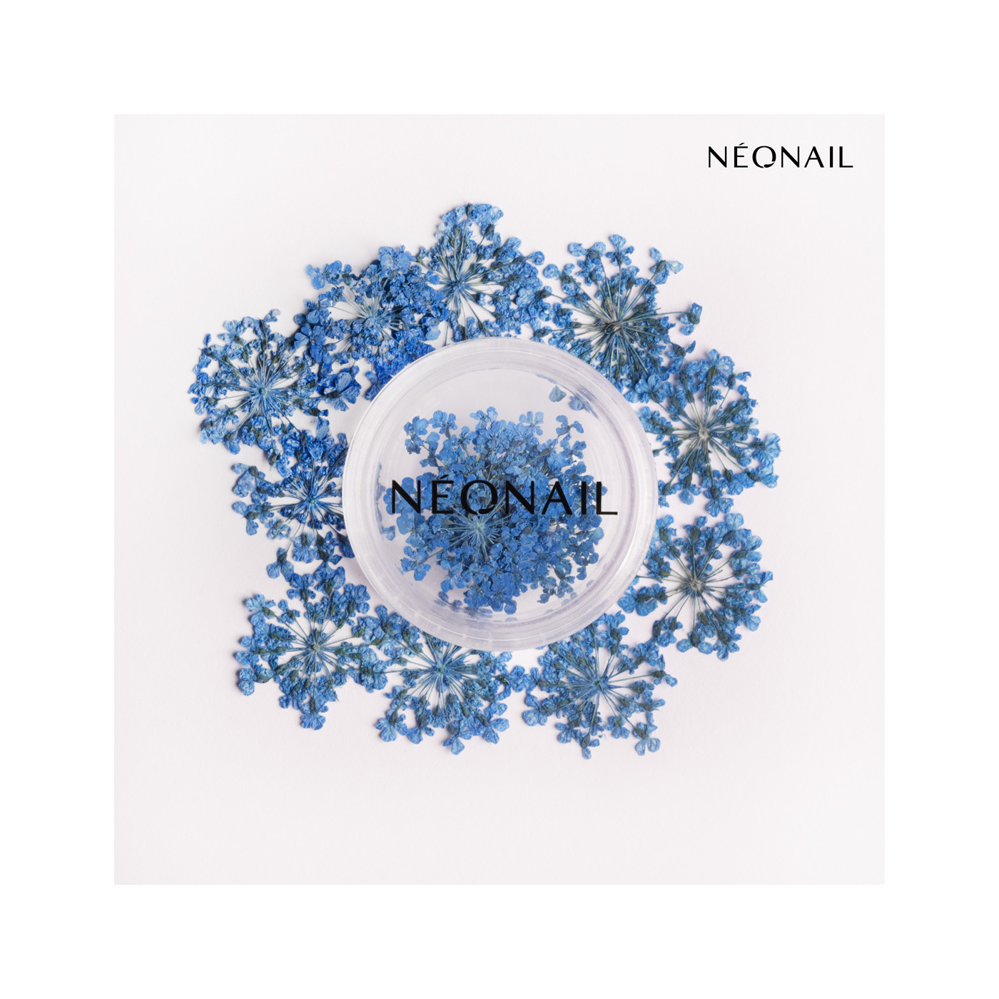 Decorazione Floreale per Unghie 04 Navy
